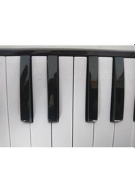 Resim 32 Tuşlu Melodika Bez Çantalı-Pembe. 