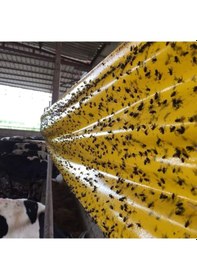 Resim Karasinek Tuzagı Sinbant.Yapışkanlı Sarı Bant.30Cmx100 Metre 