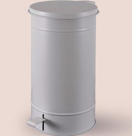Resim The Mia Çöp Kovası Açık Gri 24 Lt Glv0774 