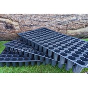 Resim Fide Viyolü 7 Adet 104 Göz Fide Viyol Fidelik Fide Kabı 