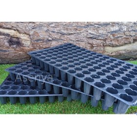 Resim Fide Viyolü 7 Adet 104 Göz Fide Viyol Fidelik Fide Kabı 