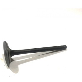 Resim Ritmica 100 - 110 - Speedy Egzoz Supabı 