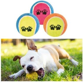 Resim 3lü Renkli Desenli Tenis Topu Köpek Oyuncağı 