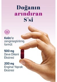 Resim Sidrex Milk Thistle Complex Deve Dikeni Eki ve Enginar Eki İçeren Takviye Edici Gıda 60 Kapsül 