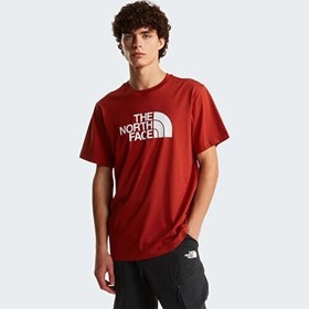 Resim THE NORTH FACE Evolution Half Dome T-Shirt, NF0A8B6JI851NI85L 