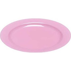 Resim Plastik Pembe Tabak 19 Cm - 10 Adet N11.1006 
