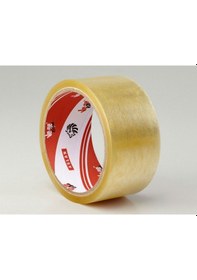 Resim 45x40 Ve-ge Koli Bandı Aslan 