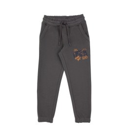 Resim U.s. Polo Assn. Erkek Çocuk Gri Eşofman Altı 50316602-vr024 Gri 