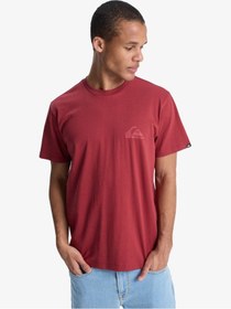 Resim Quiksilver Quıksılver Ev Mını Logo Erkek Burnt Russet - Solid T-shırt Eqyzt08181-rqz0 Kiremit 
