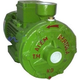 Resim Alem Bertola Kd 3Hp Monofaze Santrifüj Pompa 