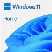 Resim Microsoft Win 11 Home ESD TR 