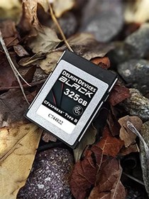 Resim DELKIN Cihazlar 325GB Siyah CFEXPRESS Tip B Hafıza Kartı 