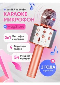 Resim Kablosuz Karaoke Çocuk Mikrofonu 330878852 