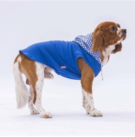 Resim Pawstar Mavi Gingham Kapşonlu Kedi Köpek Tişörtü Kedi Köpek Kıyafeti 