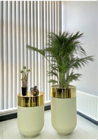 Resim Dekoratif Gold Darbuka Beyaz Saksı 70cm + Sehpa 60cm İkili Set 