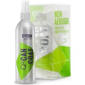 Resim Gyeon Q2 Can Coat Seramik Kaplama Seti 200ml 