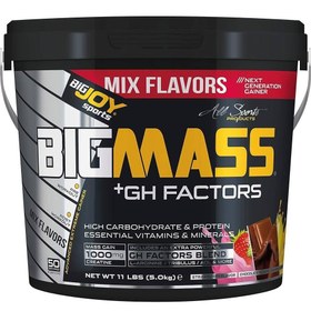 Resim BigJoy Sports Bigmass GH Factors Mix 5 kg 