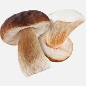 Resim Taze Porçini Mantarı (500 g) 