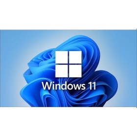 Resim Ms Windows 11 Pro Fqc-10556 64Bıt Tr (Oem) (553619447) 