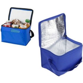 Resim Soğutucu Kamp Piknik Çantası Termos Soğuk Tutucu Çanta Termos 