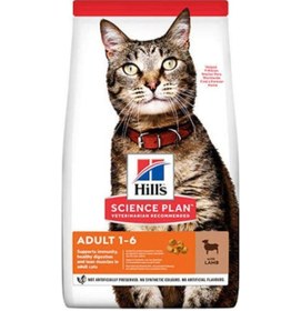 Resim Hill's Kuzu Etli Yetişkin Kedi Maması 1500 G 