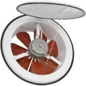 Resim Nisa Luce 20 Lik Kapaklı Aspiratör 