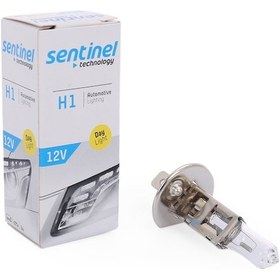 Resim H1 Sentinel 55 W 12V Halojen Ampül 