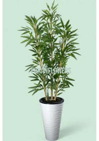 Resim 150 Cm Islak Doku Bambu Ağaç Kumsal Vazo Saksıda Yeşil 