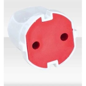 Resim Ayka Topraksız Dişi Fiş 