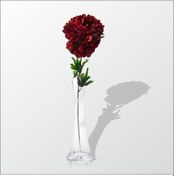 Resim Uzun Bordo Ortanca 40Cm Gerçek Cam Masa Köşe Dresuar Sehpa Vazosu 
