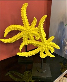 Resim BY ARİ İKİLİ DENİZ YILDIZI DO330-3 