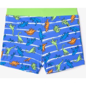 Resim Renkli Dinozor Desenli Erkek Çocuk Boxer Mayo 