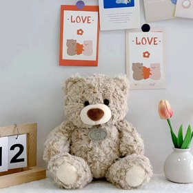 Resim Unutulmaz Hatıra, Sevimli Ayıcık Peluş Oyuncak - Yumuşak Polyester, Araba Dekoru & Doğum Günleri, Şükran Günü, Noel için Mükemmel Hediye | Koyu Kahverengi/Fildişi 