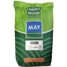Resim Hibrit Mısır Tohumu Rx 9292 1 KG Yaklaşık 3000 Adet 