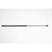 Resim Toyota Uyumlu Yaris Bagaj Amortisörü 612375 (1999-2005) 52Cm 426531321 