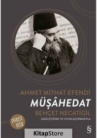 Resim Müşahedat / Ahmet Mithat Efendi N11.3941 