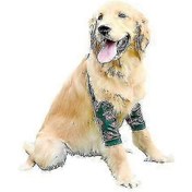 Resim Orta Ve Büyük Köpekler İçin Aşınmaya Karşı Dayanıklı Köpek Dirsek Koruyucu Dizlik Xl Mavi 