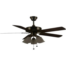 Resim Levi Tavan Vantilatörü F690 Bronz 