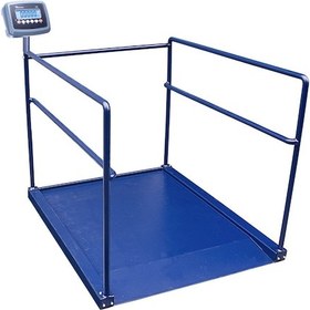 Resim Cw 300 KG x 100 Gr 90 x 120 Diyaliz Baskülü Tek Rampa 