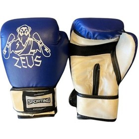 Resim Sportıng Zeus Boks Eldiveni Renkli 