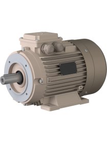 Resim Omega Motor 1,5 Kw, 3000 Devir, B34 Ayaklı Flanşlı 