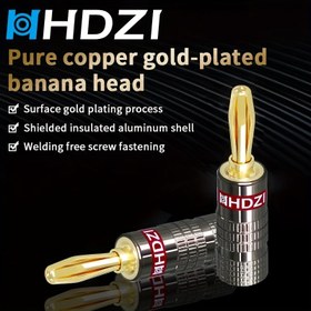 Resim HDZI 6-Yapraklı Bana Head RCA Ses Bağlantıları - Saf Bakır 24K Altın Kaplama, Koruyucu İzoleli Alüminyum Kabuk, Kaynaksız Vidalı Bağlantı, Ev Sineması, AV Alıcıları ve Ses Sistemleri için İdeal, AV Bağlayıcı|Sahne Ses Bağlantıları|Dayanıklı Ses Bağlantıları 
