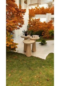 Resim Ahşap Mantar Sehpa 3 Lü Set Naturel Renk Doğal Fiskos Zigon Bej 