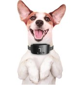Resim Doggie Ayarlanabilir Havlama Önleyici Eğitim Tasması Siyah M Siyah 