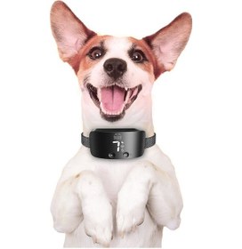 Resim Doggie Ayarlanabilir Havlama Önleyici Eğitim Tasması Siyah M Siyah 