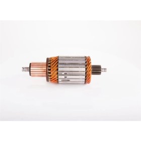 Resim Bosch 2004015007 Mars Kollektörü 24V 13 Dıs Scanıa Daf Man 261 Serısı 
