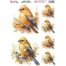 Resim Pirinç Dekopaj Kağıdı 30x42cm Pt-1836 