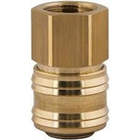 Resim Tatu Hava Valfi 1/4" Dişi 