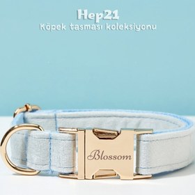 Resim Dog Collar Named Ice Blue Velvet Collar 886441 - 5pcs set / L 