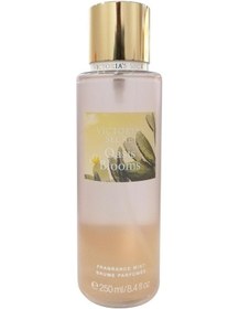 Resim Victoria’s Secret Oasis Blooms Fragrance Mist Vücut Spreyi 250 ML 